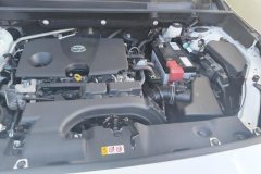 2021 Toyota RAV4 2022 2.0L AT CVT4WDfashionPlusEdition #10