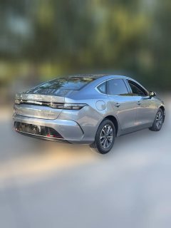 2024 BYD Destroyer 05 2024 DM-i 55KM PilotGlory #2
