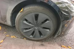 2025 Tesla Model 3 2025 rear wheel driveEdition #6