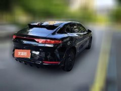 2024 BYD Song L EV 2024 550km excellence #4