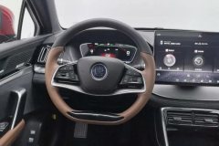 2022 BYD Tang PHEV 2021 2.0T AT DM4WDPerformancePremium #15