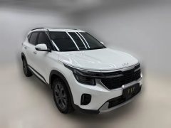 2023 Kia Seltos 2023 1.5L AT CVTLuxury #3