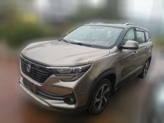 2019 Dongfeng Fengxing Fengxing T5 2020 1.5T AT Luxury China VI #1