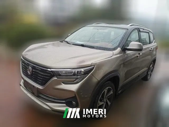 2019 Dongfeng Fengxing Fengxing T5 2020 1.5T AT Luxury China VI
