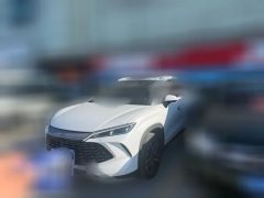 2024 BYD Song L DM-i 2024 1.5L AT 112km Leading #1