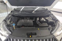 2022 Haval Chitu 2022 Power Enjoy 1.5T AT Copper Rabbit #10