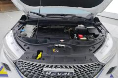 2022 Haval M6 2021 1.5T AT DCTEliteSmart ConnectPLUS #10
