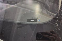 Windshield