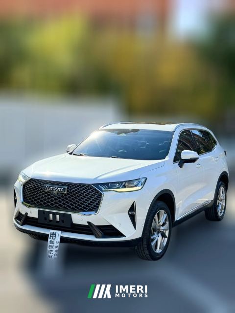 2020 Haval H6 2021 1.5T AT No.3generation2WDMax