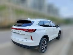 2020 Haval H6 2021 1.5T AT No.3generation2WDMax #4