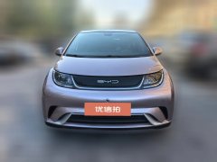 2022 BYD Dolphin 2021 405km Fashion #3