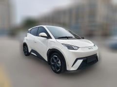 2024 BYD Seagull 2024 Glory 305KM freeEdition #3