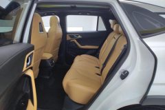 2025 Roewe RX5 2023 1.5T AT LuxurySlide screenEdition #11