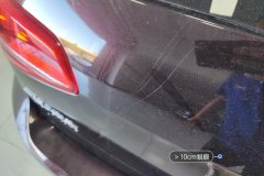 Trunk Lid
