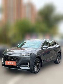 2021 Chang'an UNI-K 2021 2.0T AT excellence #1