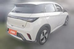 2023 BYD Dolphin 2023 420km Fashion #3