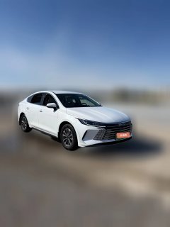 2025 BYD Destroyer 05 2025 DM-i 55KM smooth travelEdition #3