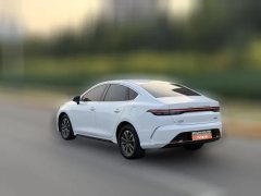2023 BYD Destroyer 05 2022 DM-i 55KM AT Luxury #5