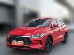 2020 BYD e2 2019 highRange dazzle·Luxury EV #1
