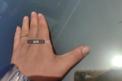 Windshield