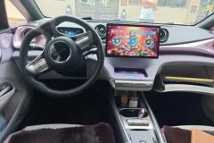 2022 BYD Dolphin 2021 401km knightEdition #12