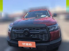 2020 Great Wall Great Wall Pao 2020 2.0TOff-roadATGasoline4WDLimitedGW4C20B #11
