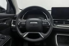 2021 Haval H6 2021 1.5T AT China tideChampion #15