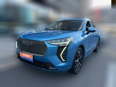 2021 Haval Chulian 2021 1.5T ATLarge3Edition #1