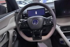 2023 BYD Song Pro PHEV 2023 Champion 1.5 AT DM-i 110KM Surpass #15