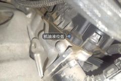 Engine Oil