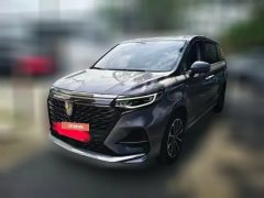 2022 Roewe iMAX8 2022 2.0T AT 400TGI GatheringEdition #1
