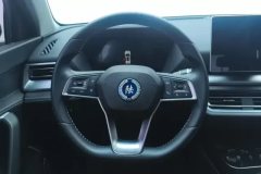2019 BYD Song Pro 2019 1.5T AT Luxury #15