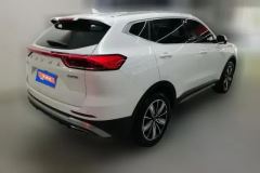 2025 Haval H6 2023 China tideEdition 1.5T AT Champion #3