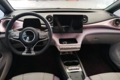 2022 BYD Dolphin 2021 405km Fashion #12
