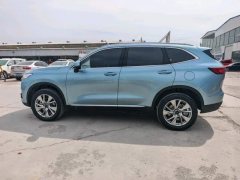 2023 Haval H6 PHEV 2023 1.5T AT DHT-PHEV 55KM YuexingEdition #7