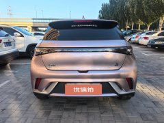 2022 BYD Dolphin 2021 405km Fashion #8