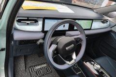 2022 Geometry E Firefly 2022 401KM thunder tiger 4Seat #12