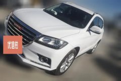 2015 Haval H2 2015 1.5T AT Elite FWD #1