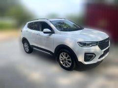 2018 Haval H2 2018 1.5T AT Blue LabelElite #3