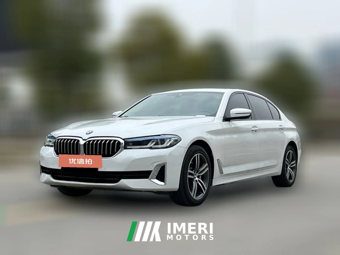 2021 BMW 5 Series 2021 2.0T AT 530LiLeadingLuxury Pkg