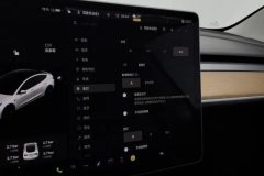 2021 Tesla Model 3 2021 StandardBattery lifeRWDUpgradeEdition #24