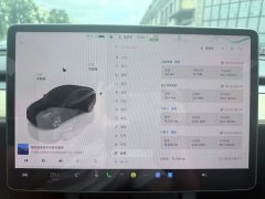 2022 Tesla Model Y 2022 Facelift rear wheel driveEdition #7