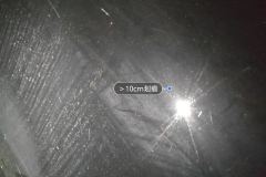 Left Rear Door