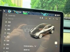 2023 Tesla Model Y 2022 Facelift rear wheel driveEdition #18