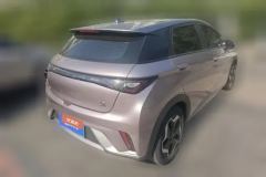 2022 BYD Dolphin 2021 405km Fashion #3