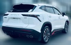2024 Jetour Dasheng 2024 1.6T AT DCT kingPRO #11
