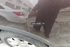 Лев. Задн. крыло