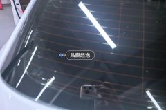 Rear Windshield