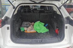 2022 Haval H6 2021 1.5T AT China tideChampion #4