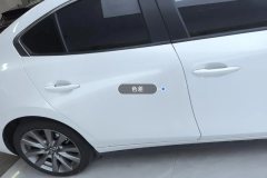 Right Rear Door